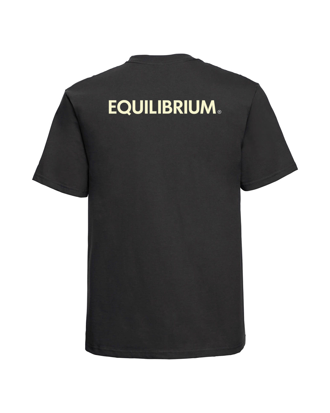 TEE-SHIRT  - DARIUS - EQUILIBRIUM