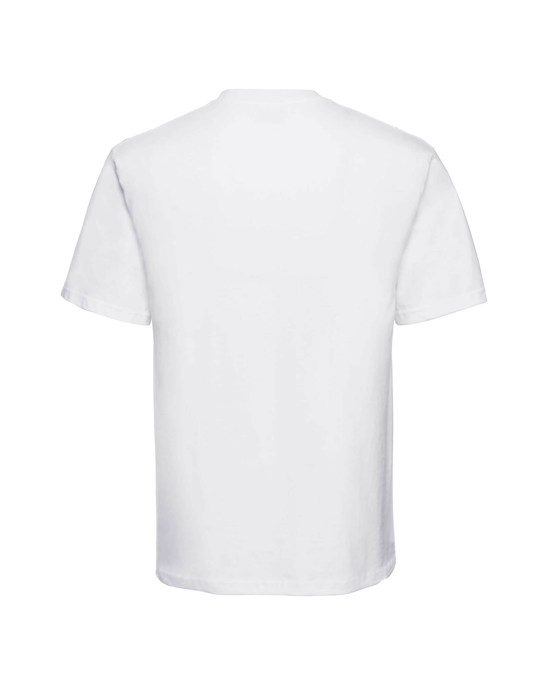 TEE-SHIRT  - DARIUS - OASIS